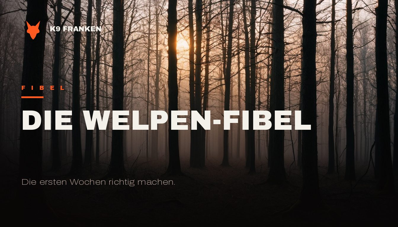 Welpen-Fibel
